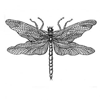 Crafty Individuals leimasin - Dragonfly