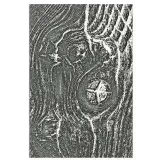 Close-up of dark textured wood grain with circular growth rings and cracks in grayscale
