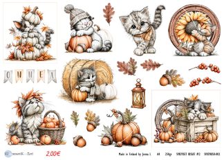Autumn-themed collage of gray kittens with pumpkins, leaves, and harvest decor in warm tones.